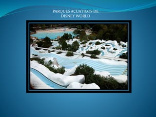 PARQUES ACUATICOS DE
DISNEY WORLD
 