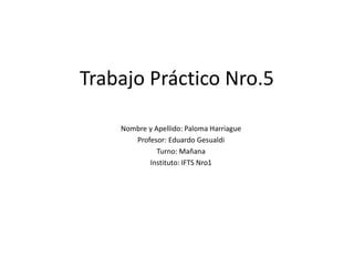 Trabajo Práctico Nro.5
Nombre y Apellido: Paloma Harriague
Profesor: Eduardo Gesualdi
Turno: Mañana
Instituto: IFTS Nro1
 