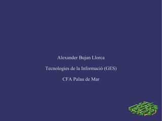 Alexander Bujan Llorca

Tecnologies de la Informació (GES)

        CFA Palau de Mar
 