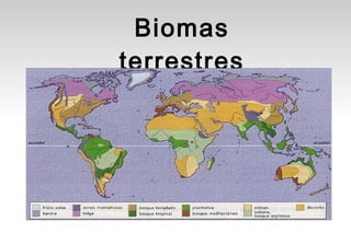 Biomas
terrestres
 