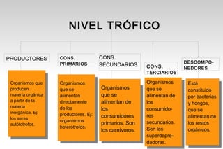 NIVEL TRÓFICO

PRODUCTORES         CONS.              CONS.
                    PRIMARIOS                                             DESCOMPO-
                                       SECUNDARIOS        CONS.           NEDORES
                                                          TERCIARIOS

 Organismos que     Organismos                            Organismos       Está
                                                           Organismos
 producen           que se             Organismos
                                        Organismos        que se           constituido
                                                           que se
 matería orgánica   alimentan          que se
                                        que se            alimentan de     por bacterias
 a partir de la
                                                           alimentan de
                    directamente       alimentan de
                                        alimentan de      los              y hongos,
 materia                                                   los
                    de los             los                consumido-       que se
 inorgánica. Ej:                        los                consumido-
                    productores. Ej:   consumidores       res              alimentan de
 los seres                              consumidores       res
                    organismos                            secundarios.
 autótotrofos.                         primarios. Son
                                        primarios. Son     secundarios.    los restos
                    heterótrofos.                         Son los
                                       los carnívoros.     Son los         orgánicos.
                                        los carnívoros.
                                                          superdepre-
                                                           superdepre-
                                                          dadores.
                                                           dadores.
 