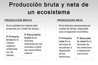 Producción bruta y neta de
        un ecosistema
PRODUCCIÓN BRUTA                       PRODUCCION NETA

 Es la cantidad de materia total        Es la biomasa almacenada por
 producida por unidad de tiempo.        unidad de tiempo, disponible
                                        para el siguiente nivel trófico.
                  P.Secundaria
 P.Primaria       bruta:Es la           P.Primaria        P.Secundar
 bruta:Es la      biomasa               neta:Es la        ia neta:Es la
 materia          elaborada por los     biomasa de        biomasa de
 orgánica         animales a partir     las plantas a     los herbívoros
 sintetizada      del nievel trófico    disposición       a disposición
 por las          anterior              de los            carnívoros.
 plantas
                                        herbívoros.
 