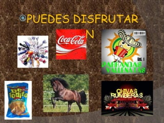 Trabajo informatica camping