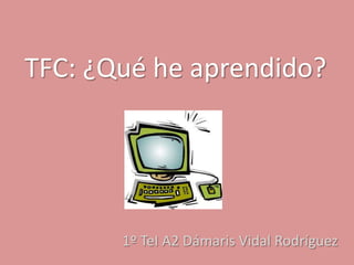 TFC: ¿Qué he aprendido?




       1º TeI A2 Dámaris Vidal Rodríguez
 