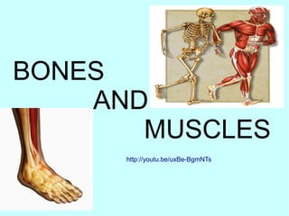 BONES
AND
MUSCLES
http://youtu.be/uxBe-BgmNTs

 