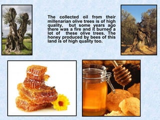 The collected oil from their
millenarian olive trees is of high
quality, but some years ago
there was a fire and it burned a
lot of these olive trees. The
honey produced by bees of this
land is of high quality too.
 
