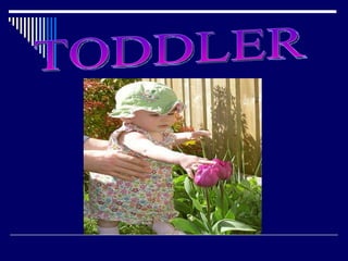 TODDLER 