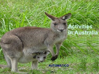 Activities in Australia AUTOMÄTICO 