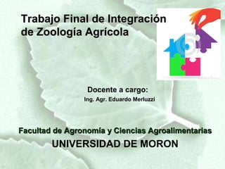Trabajo Final de Integración
de Zoología Agrícola




                 Docente a cargo:
                Ing. Agr. Eduardo Merluzzi




Facultad de Agronomía y Ciencias Agroalimentarias
        UNIVERSIDAD DE MORON
 