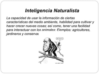 La capacidad de usar la información de ciertas
características del medio ambiente, habilidad para cultivar y
hacer crecer nuevas cosas; así como, tener una facilidad
para interactuar con los animales: Ejemplos: agricultores,
jardineros y conservacionistas.
Inteligencia Naturalista
 