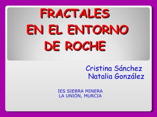 FRACTALES  EN EL ENTORNO DE ROCHE  Cristina Sánchez  Natalia González IES SIERRA MINERA LA UNIÓN, MURCIA 