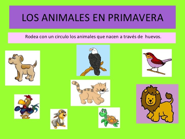 Trabajo isabel 1