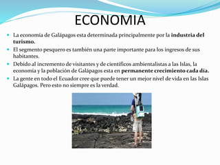 ECONOMIA
 La economía de Galápagos esta determinada principalmente por la industria del
turismo.
 El segmento pesquero es también una parte importante para los ingresos de sus
habitantes.
 Debido al incremento de visitantes y de científicos ambientalistas a las Islas, la
economía y la población de Galápagos esta en permanente crecimiento cada día.
 La gente en todo el Ecuador cree que puede tener un mejor nivel de vida en las Islas
Galápagos. Pero esto no siempre es la verdad.
 