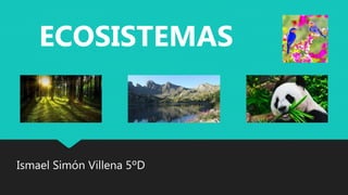 ECOSISTEMAS | PPTX