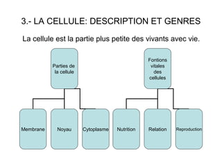 3.- LA CELLULE: DESCRIPTION ET GENRES
Parties de
la cellule
Membrane Noyau Cytoplasme
La cellule est la partie plus petite des vivants avec vie.
Fontions
vitales
des
cellules
Nutrition Relation Reproduction
 