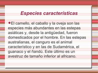 Especies características
El camello, el caballo y la oveja son las
especies más abundantes en las estepas
asiáticas y, desde la antigüedad, fueron
domesticados por el hombre. En las estepas
australianas, el canguro es el animal
característico y en las de Sudamérica, el
guanaco y el ñandú. Este último es un
avestruz de tamaño inferior al africano.
 