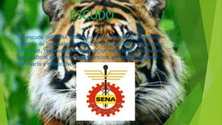 ESCUDO
 El escudo del SENA refleja los tres sectores económicos
dentro de los cuales se ubica el accionar de la institución:
el piñón, representativo del sector industria; el caduceo,
asociado al de comercio y servicios; y el café, ligado al
primario y extractivo.
 