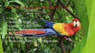 FRENTES DE ACCION DEL BIENESTAR
 Salud
 Desarrollo intelectual
 Consejería y orientación
 Promoción socioeconómica
 Recreación y deporte
 Información y comunicación
 Protección y servicios institucionales
 