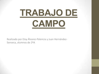 TRABAJO DE
CAMPO
Realizado por Eloy Álvarez-Palencia y Juan HernándezSonseca, alumnos de 2ºA

 