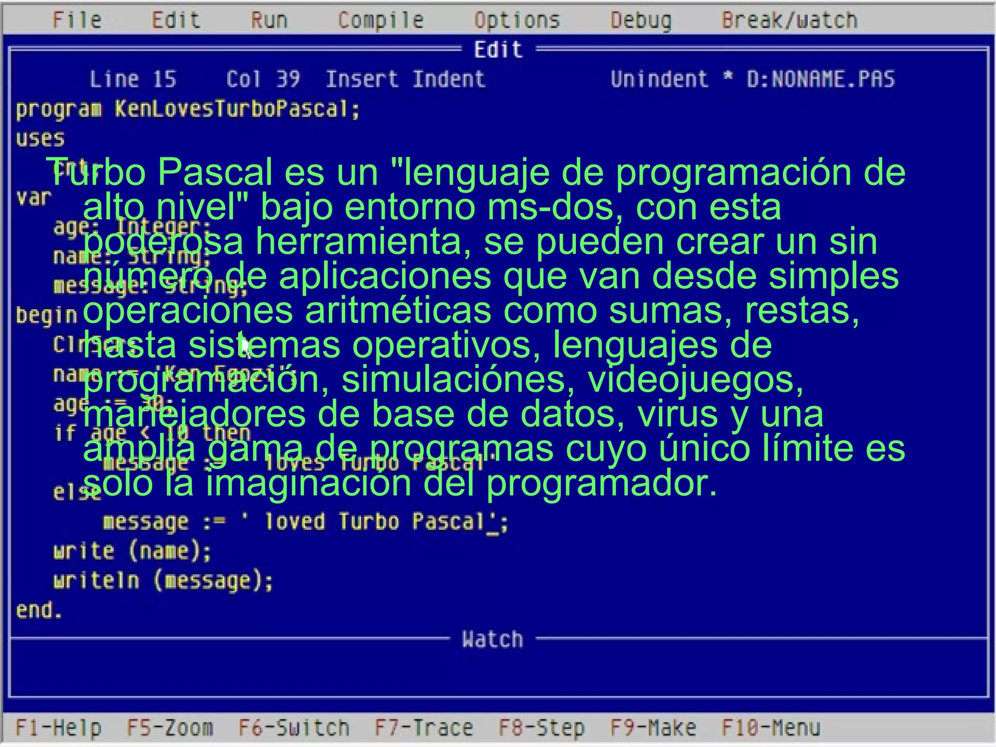 Turbo Pascal es un "lenguaje de programación de alto nivel" bajo entorno ms-dos, con esta poderosa herramienta, se pueden crear un sin número de aplicaciones que van desde simples operaciones aritméticas como sumas, restas, hasta sistemas operativos, lenguajes de programación, simulaciónes, videojuegos, manejadores de base de datos, virus y una amplia gama de programas cuyo único límite es solo la imaginación del programador. 
