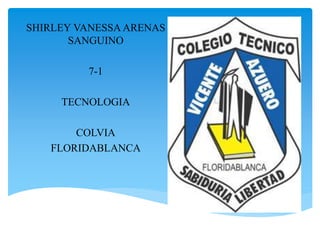 SHIRLEY VANESSA ARENAS
SANGUINO
7-1
TECNOLOGIA
COLVIA
FLORIDABLANCA
 