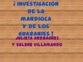 ¡ Investigación de la mandioca  Y de los Guaranies !  Julieta Andragñez  y Selene Villamando 