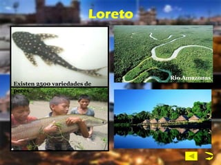 Loreto Existen 2500 variedades de peces Rio Amazonas 