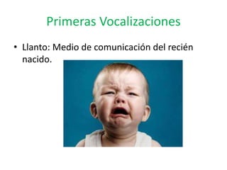 Primeras Vocalizaciones
• Llanto: Medio de comunicación del recién
nacido.
 