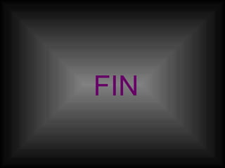 FIN 