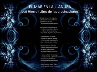 EL MAR EN LA LLANURAJosé Hierro (Libro de las alucinaciones)¿Estarás siempre de mi parte,       adormecida entre mis brazos,       primaveral y musical,        afirmándote y afirmándonos?       ¿ A centenares de kilómetros,        a millares de encinas y álamos,        a millones de horas, de ríos,        de cumbres de piedra, de páramos?        Esta mañana te ha teñido        el recuerdo de vinos pálidos.        En las ramas de acacia, otoño        puso a dorar su seco manto.        Hojas crujían con la música        con que embistes acantilados.        La  llanura fingió latidos,        temblores, fuegos oceánicos.        ¿ Tú compañía?¿ Tú nostalgia?        ¿ Tú esperanza?... ¿ Siempre a mi lado        estarás, mar, primaveral,        afirmándote y afirmándonos?        Mar mía, ¿pase lo que pase,        aun después de lo que ha pasado?