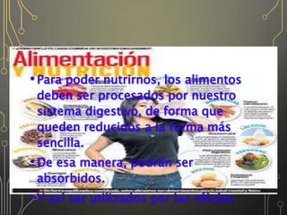 •Para poder nutrirnos, los alimentos
deben ser procesados por nuestro
sistema digestivo, de forma que
queden reducidos a la forma más
sencilla.
•De esa manera, podrán ser
absorbidos.
•Y así ser utilizados por las células.
 