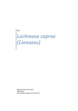 UPM

Lochmaea caprea
(Linnaeus)

Alejandro Pasamar Escudero
30/11/2013
Enfermedades y plagas forestales (GIF).

 