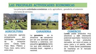 LAS PRICIPALES ACTIVIDCADES ECONOMICAS
Las principales actividades económicas es la agricultura , ganadería, el comercio
y la venta de servicios.
AGRICULTURA
La ganadería: en la
amazonia se caracteriza
por ser una actividad semi
intensiva y extensiva, con
pequeños ganaderos leche
ros que está orientada al
mercado local , regional y
nacional.
La producción agrícola
pricipalmente son
actividades económicas
de la amazonia
como: Cacao, Caña
Fríjol, Maíz, Plátano y
Yuca, maíz, camu camu
entre otros
Loreto posee productos muy
atractivos y con interesante
potencial exportador. Tenemos la
madera y sus productos
derivados, así como el cacao, el
camu camu y el paiche, entre
otros. Todos tienen posibilidades
de insertarse en el mercado
internacional”
GANADERIA COMERCIO
 