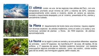 El clima Loreto es una de las regiones mas cálidas del Perú , con una
temperatura promedio anual mínima de 22ºC y máxima de 32ºC, variando
excepcionalmente entre verano e invierno, donde en verano es caluroso,
húmedo y mayormente despejado y en el invierno presentado el frio, vientos y
parcialmente nublado.
la Flora El departamento de loreto tiene una inmensa riqueza vegetal,
con diversas especies de arboles madereros, como el cedro y la caoba y una
numerosas variedad de plantas y flores, de 7959 especies de plantas
aproximadamente
La fauna en la región Loreto es variada y se encuentran diferentes especies
de animales como 97 especies de mamíferos,417 de aves ,48 reptiles, 45 de
anfibios y 17 especies de peces. También podemos mencionar con bastante
preocupación algunos animales en extinción como: oso andino , cóndor andino,
gato de los andes, oso hormiguero gigante, delfín rosado, etc
 