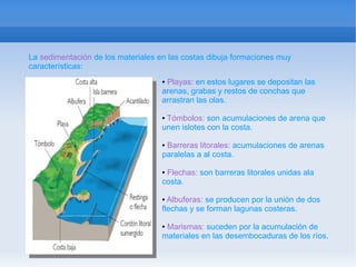 La sedimentación de los materiales en las costas dibuja formaciones muy
características:
                                    ●Playas: en estos lugares se depositan las
                                    arenas, grabas y restos de conchas que
                                    arrastran las olas.

                                    ●Tómbolos: son acumulaciones de arena que
                                    unen islotes con la costa.

                                    ●Barreras litorales: acumulaciones de arenas
                                    paralelas a al costa.

                                    ●Flechas: son barreras litorales unidas ala
                                    costa.

                                    ● Albuferas: se producen por la unión de dos
                                    flechas y se forman lagunas costeras.

                                    ●Marismas: suceden por la acumulación de
                                    materiales en las desembocaduras de los ríos.
 