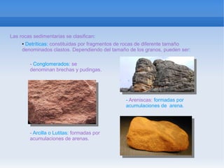Las rocas sedimentarias se clasifican:
     ●Detríticas: constituidas por fragmentos de rocas de diferente tamaño
     denominados clastos. Dependiendo del tamaño de los granos, pueden ser:

         - Conglomerados: se
         denominan brechas y pudingas.




                                                - Areniscas: formadas por
                                                acumulaciones de arena.




         - Arcilla o Lutitas: formadas por
         acumulaciones de arenas.
 