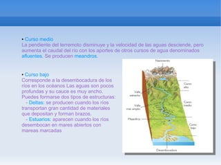 ●Curso medio
La pendiente del terremoto disminuye y la velocidad de las aguas desciende, pero
aumenta el caudal del río con los aportes de otros cursos de agua denominados
afluentes. Se producen meandros.


● Curso bajo
Corresponde a la desembocadura de los
ríos en los océanos Las aguas son pocos
profundas y su cauce es muy ancho.
Puedes formarse dos tipos de estructuras:
  - Deltas: se producen cuando los ríos
transportan gran cantidad de materiales
que depositan y forman brazos.
  - Estuarios: aparecen cuando los ríos
desembocan en mares abiertos con
mareas marcadas
 