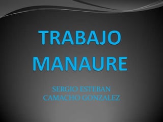 TRABAJO MANAURE SERGIO ESTEBAN CAMACHO GONZALEZ 
