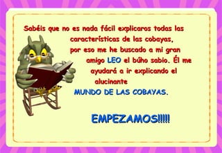 Sabéis que no es nada fácil explicaros todas lasSabéis que no es nada fácil explicaros todas las
características de las cobayas,características de las cobayas,
por eso me he buscado a mi granpor eso me he buscado a mi gran
amigoamigo LEOLEO el búho sabio. Él meel búho sabio. Él me
ayudará a ir explicando elayudará a ir explicando el
alucinantealucinante
MUNDO DE LAS COBAYAS.MUNDO DE LAS COBAYAS.
EMPEZAMOS!!!!!EMPEZAMOS!!!!!
 