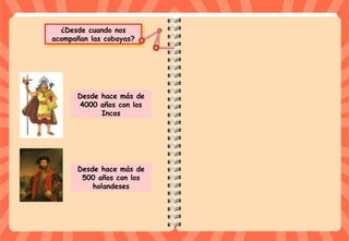 ¿Desde cuando nos
acompañan las cobayas?
¿Desde cuando nos
acompañan las cobayas?
Desde hace más de
4000 años con los
Incas
Desde hace más de
500 años con los
holandeses
 