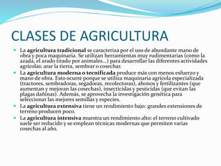 CLASES DE AGRICULTURA
 La agricultura tradicional se caracteriza por el uso de abundante mano de
obra y poca maquinaria. Se utilizan herramientas muy rudimentarias (como la
azada, el arado tirado por animales...) para desarrollar las diferentes actividades
agrícolas: arar la tierra, sembrar o cosechar.
 La agricultura moderna o tecnificada produce más con menos esfuerzo y
mano de obra. Esto ocurre porque se utiliza maquinaria agrícola especializada
(tractores, sembradoras, segadoras, recolectoras), abonos y fertilizantes (que
aumentan y mejoran las cosechas), insecticidas y pesticidas (que evitan las
plagas dañinas). Además, se aprovecha la investigación genética para
seleccionar las mejores semillas y especies.
 La agricultura extensiva tiene un rendimiento bajo: grandes extensiones de
terreno producen poco.
 La agricultura intensiva muestra un rendimiento alto: el terreno cultivado
suele ser reducido y se emplean técnicas modernas que permiten varias
cosechas al año.
 