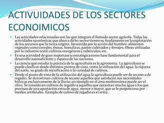 ACTIVUIDADES DE LOS SECTORES
ECONOIMICOS
 Las actividades relacionadas son las que integran el llamado sector agrícola. Todas las
actividades económicas que abarca dicho sector tienen su fundamento en la explotación
de los recursos que la tierra origina, favorecida por la acción del hombre: alimentos
vegetales como cereales, frutas, hortalizas, pastos cultivados y forrajes; fibras utilizadas
por la industria textil; cultivos energéticos y tubérculos; etc.
 Es una actividad de gran importancia estratégica como base fundamental para el
desarrollo autosuficiente y riqueza de las naciones.
 La ciencia que estudia la práctica de la agricultura es la agronomía. La agricultura se
puede clasificar desde distintos puntos de vista, como la utilización del agua, la riqueza
del suelo, su grado de tecnificación o la variedad de cultivos.
 Desde el punto de vista de la utilización del agua la agricultura puede ser de secano o de
regadío. Se denominan cultivos de secano aquellos que satisfacen sus necesidades
hídricas exclusivamente de la lluvia; un ejemplo en el área mediterránea puede ser el
olivo. Se consideran cultivos de regadío a aquellos que necesitan mucha agua o los que
precisan de una aportación extra de agua, menor o mayor, que se le proporciona por
medios artificiales. Ejemplo de cultivo de regadío es el arroz.
 