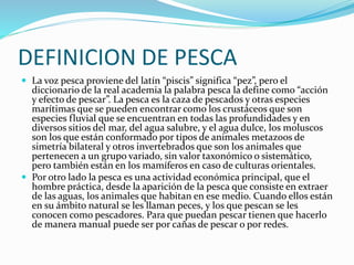 DEFINICION DE PESCA
 La voz pesca proviene del latín “piscis” significa “pez”, pero el
diccionario de la real academia la palabra pesca la define como “acción
y efecto de pescar”. La pesca es la caza de pescados y otras especies
marítimas que se pueden encontrar como los crustáceos que son
especies fluvial que se encuentran en todas las profundidades y en
diversos sitios del mar, del agua salubre, y el agua dulce, los moluscos
son los que están conformado por tipos de animales metazoos de
simetría bilateral y otros invertebrados que son los animales que
pertenecen a un grupo variado, sin valor taxonómico o sistemático,
pero también están en los mamíferos en caso de culturas orientales.
 Por otro lado la pesca es una actividad económica principal, que el
hombre práctica, desde la aparición de la pesca que consiste en extraer
de las aguas, los animales que habitan en ese medio. Cuando ellos están
en su ámbito natural se les llaman peces, y los que pescan se les
conocen como pescadores. Para que puedan pescar tienen que hacerlo
de manera manual puede ser por cañas de pescar o por redes.
 