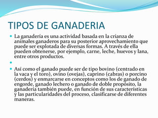 TIPOS DE GANADERIA
 La ganadería es una actividad basada en la crianza de
animales ganaderos para su posterior aprovechamiento que
puede ser explotada de diversas formas. A través de ella
pueden obtenerse, por ejemplo, carne, leche, huevos y lana,
entre otros productos.

 Así como el ganado puede ser de tipo bovino (centrado en
la vaca y el toro), ovino (ovejas), caprino (cabras) o porcino
(cerdos) y enmarcarse en conceptos como los de ganado de
engorde, ganado lechero o ganado de doble propósito, la
ganadería también puede, en función de sus características
y las particularidades del proceso, clasificarse de diferentes
maneras.
 