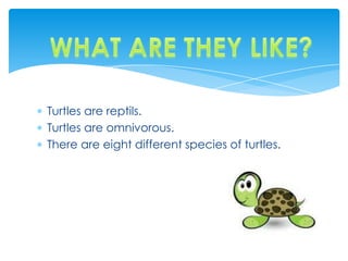Turtles are reptils.
Turtles are omnivorous.
There are eight different species of turtles.
 