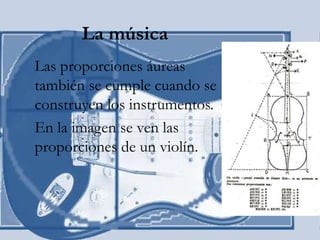 La música
Las proporciones áureas
también se cumple cuando se
construyen los instrumentos.
En la imagen se ven las
proporciones de un violín.
 