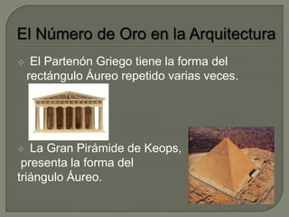     El Partenón Griego tiene la forma del
    rectángulo Áureo repetido varias veces.




  La Gran Pirámide de Keops,
 presenta la forma del
triángulo Áureo.
 