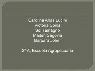 Carolina Arias Lucini
      Victoria Spina
      Sol Tamagno
     Maitén Segovia
     Bárbara Joher

2° A, Escuela Agropecuaria
 