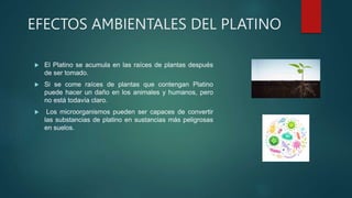 EFECTOS AMBIENTALES DEL PLATINO
 El Platino se acumula en las raíces de plantas después
de ser tomado.
 Si se come raíces de plantas que contengan Platino
puede hacer un daño en los animales y humanos, pero
no está todavía claro.
 Los microorganismos pueden ser capaces de convertir
las substancias de platino en sustancias más peligrosas
en suelos.
 