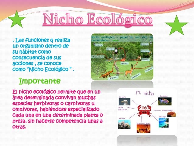 El ecosistema nicho ecologico niveles , red trofica , etc